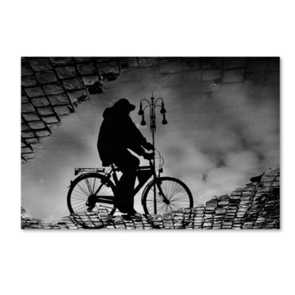 Antonio Grambone 'Reflex' Canvas Art, 12x19, Trademark Fine Art, Mfr#: 1X00157-C1219GG